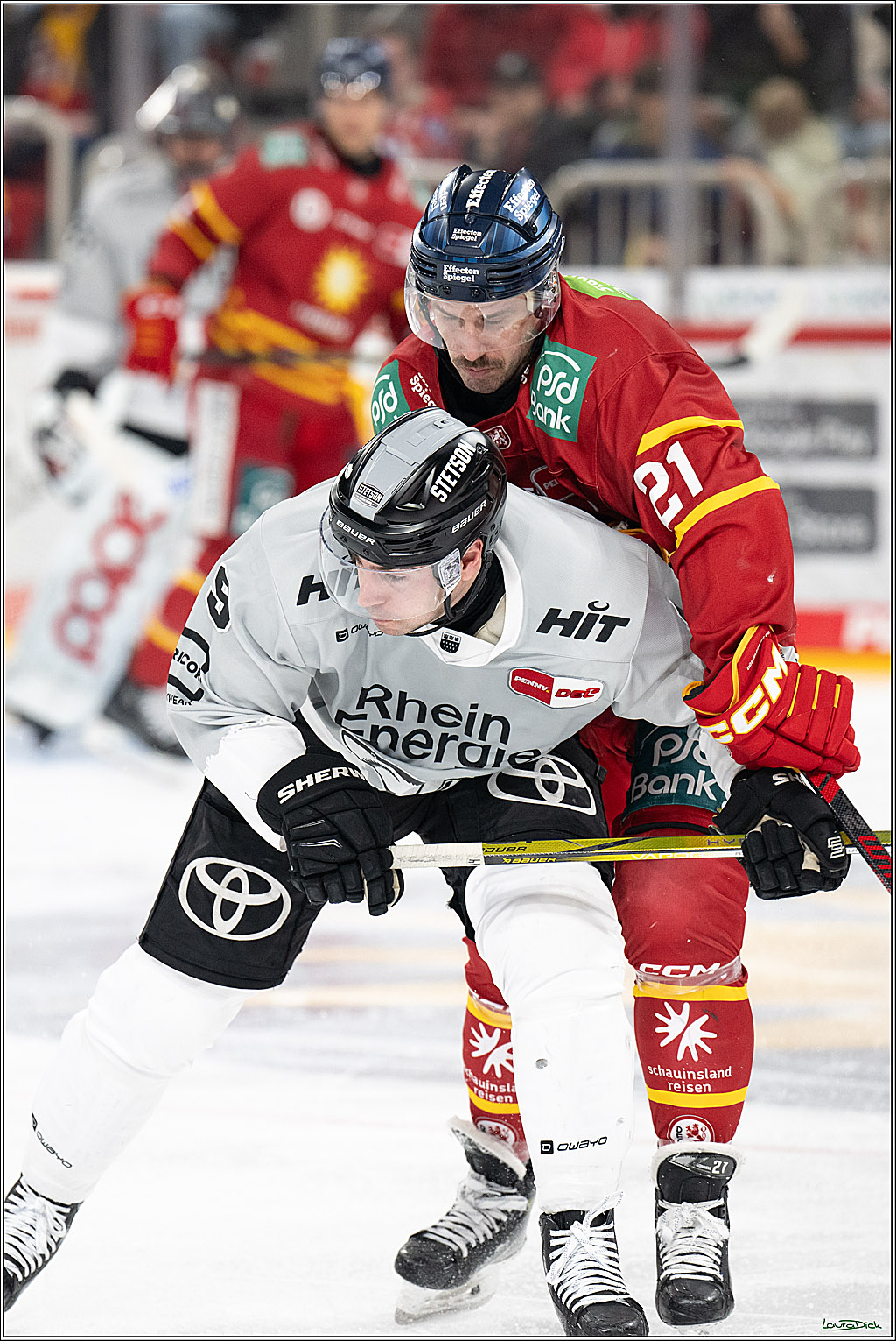 PENNY DEL; Duesseldorfer EG- Koelner Haie; Duesseldorf, 24.01.2025